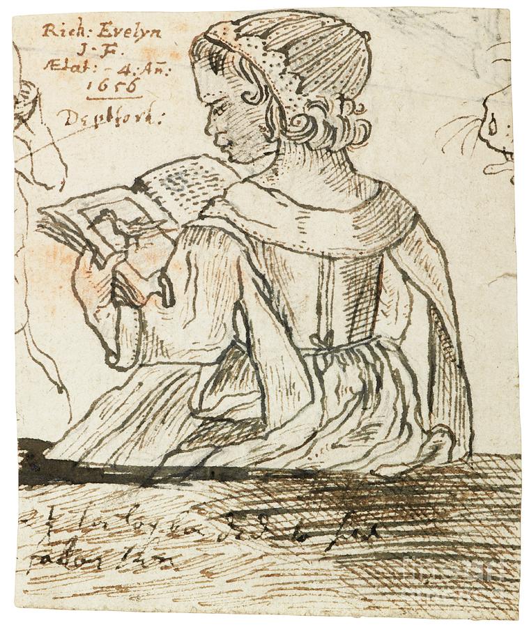 Book Drawing - Richard Evelyn Reading A Natural History Book, Deptford, 1656 by John Evelyn