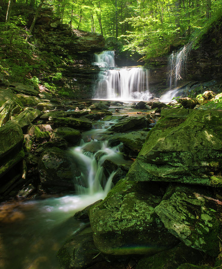 Ricketts Glen 2 Photograph by Aaron McDonald - Fine Art America