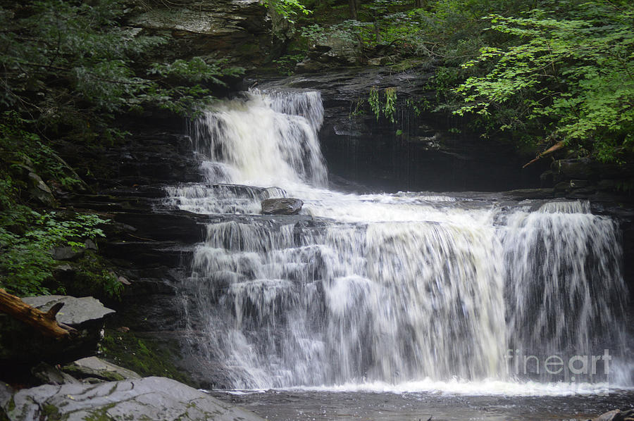 Ricketts Glen Waterfall Photograph by Aicy Karbstein