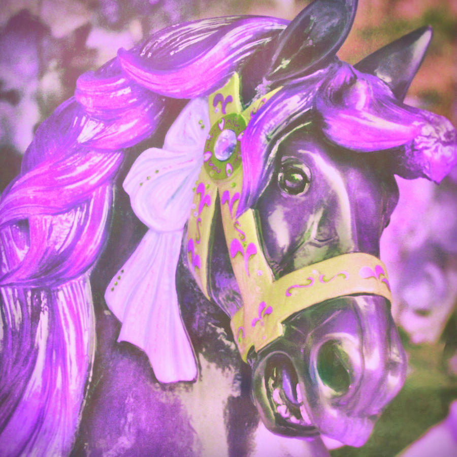 Ride Of Old Purples Photograph by Dressage Design
