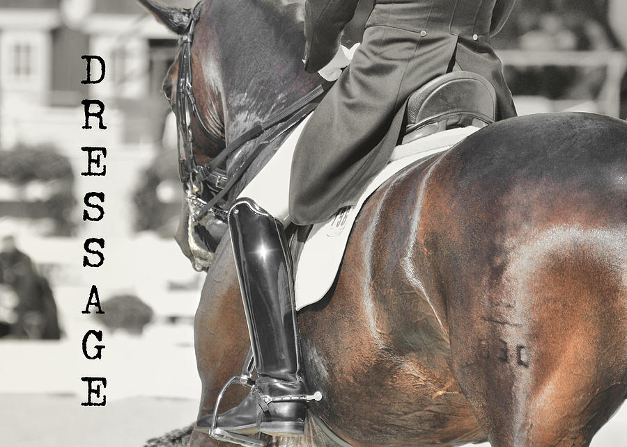 RIDE THE RHYTHM quote Photograph by Dressage Design