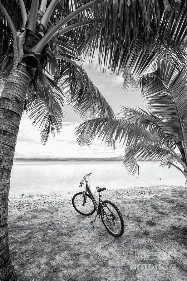 Ride to the Lagoon Photograph by Becqi Sherman