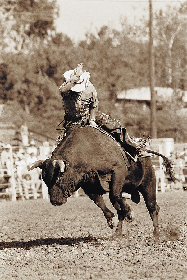 Rider About To Fall Off Bucking Bull Photograph by Kimball Hall