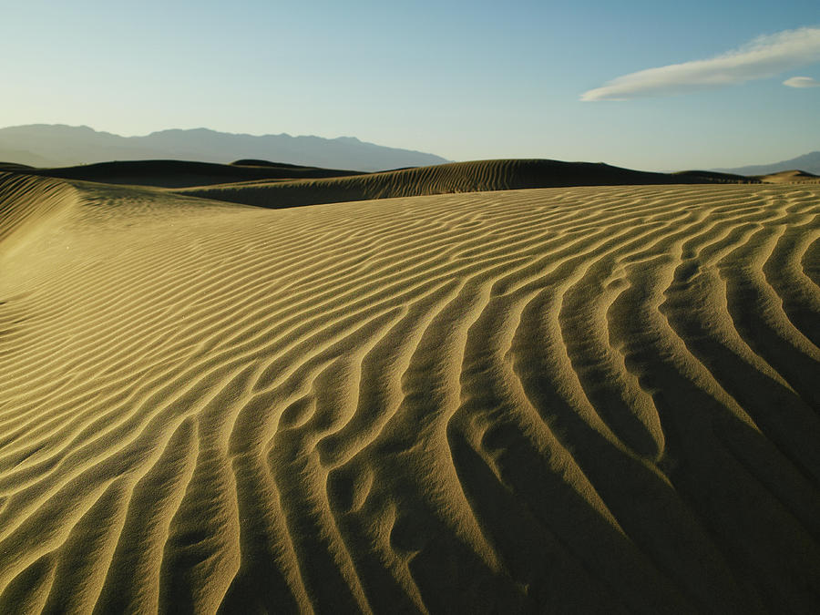 Ridges In Sand Dunes, Blue Sky by Ryan Mcvay