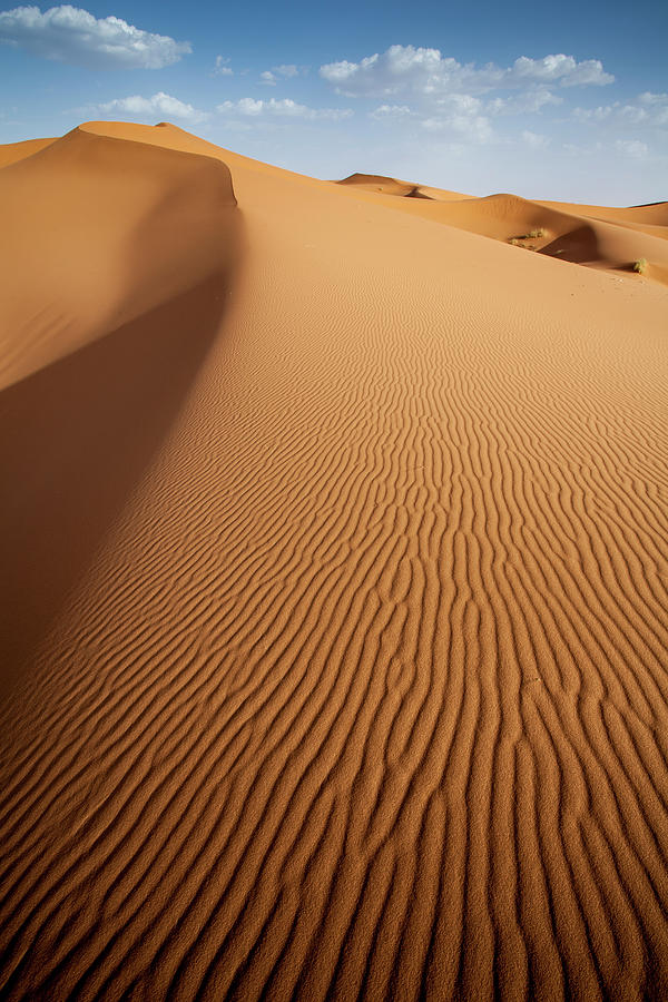 Ridges On A Vertical Sand Dune Photograph by © Santiago Urquijo