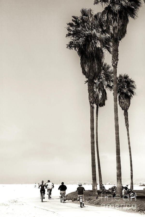 Riding Bikes at Venice Beach Photograph by John Rizzuto