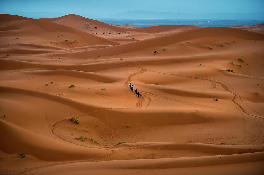 Riding Camel In Sahara Desert Photograph by Copyright @ Sopon Chienwittayakun