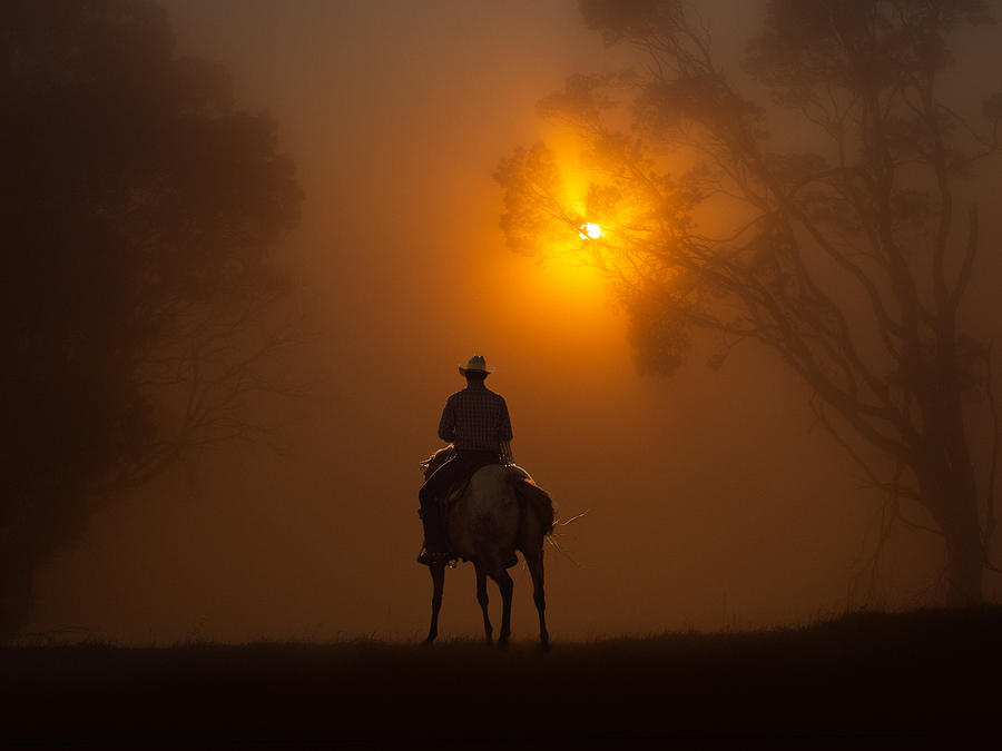 Riding In Dawn Mist Photograph by Frank Ma