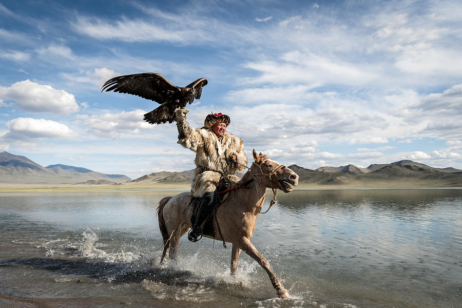 Riding The Eagle Photograph by David Dhaen - Fine Art America