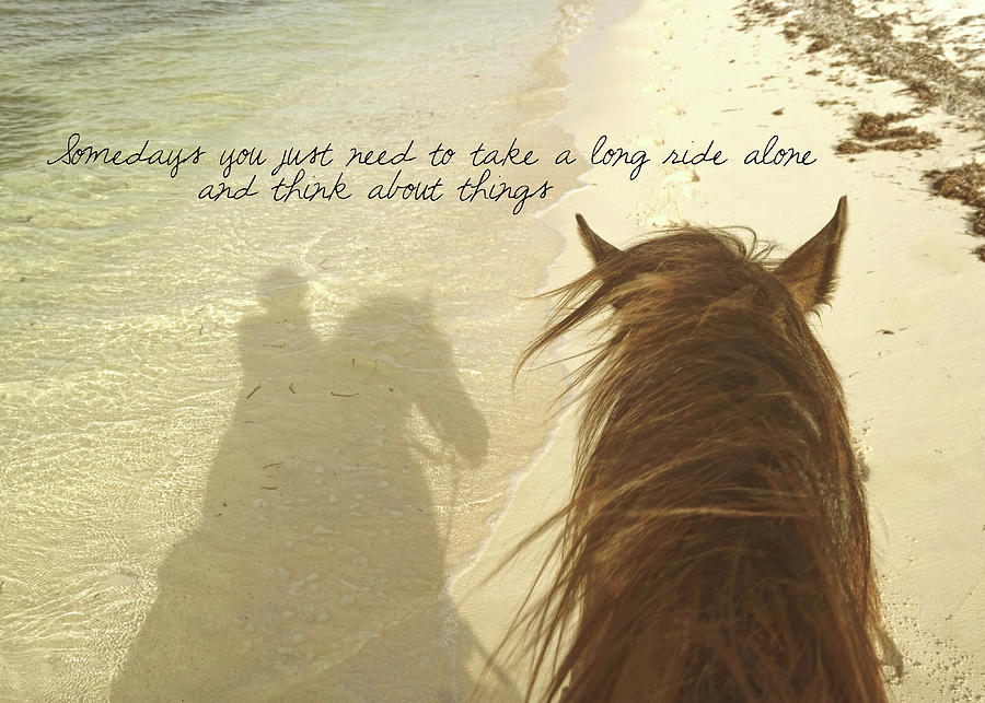 RIDING THE SHORE quote Photograph by Dressage Design