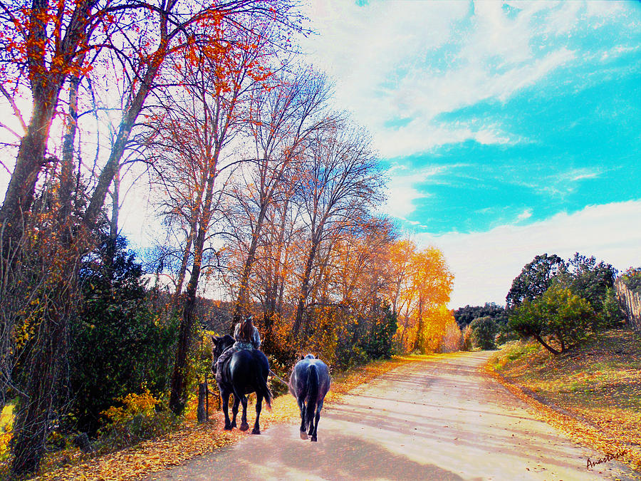Riding to Autumn Pasture El Valle  Photograph by Anastasia Savage Ealy