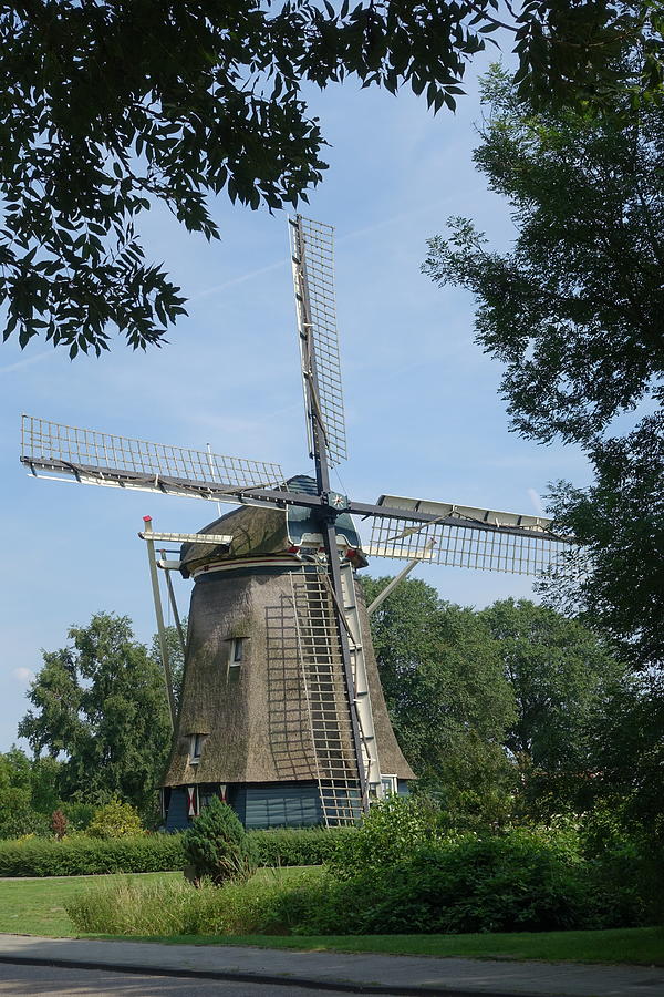 Riekermolen Windmill Amsterdam Photograph by Patricia Caron