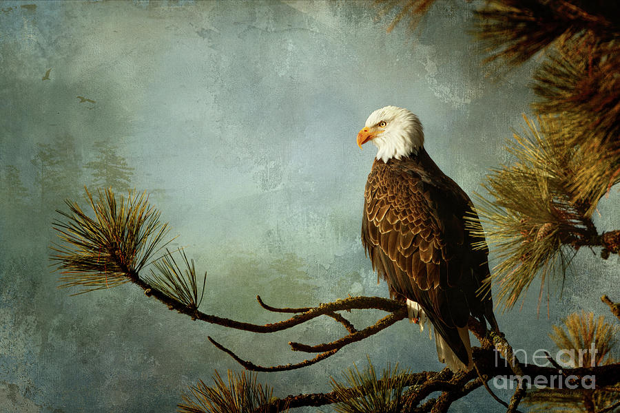 Right with Nature by Beve Brown-Clark Photography Right with Nature by Beve Brown-Clark Photography