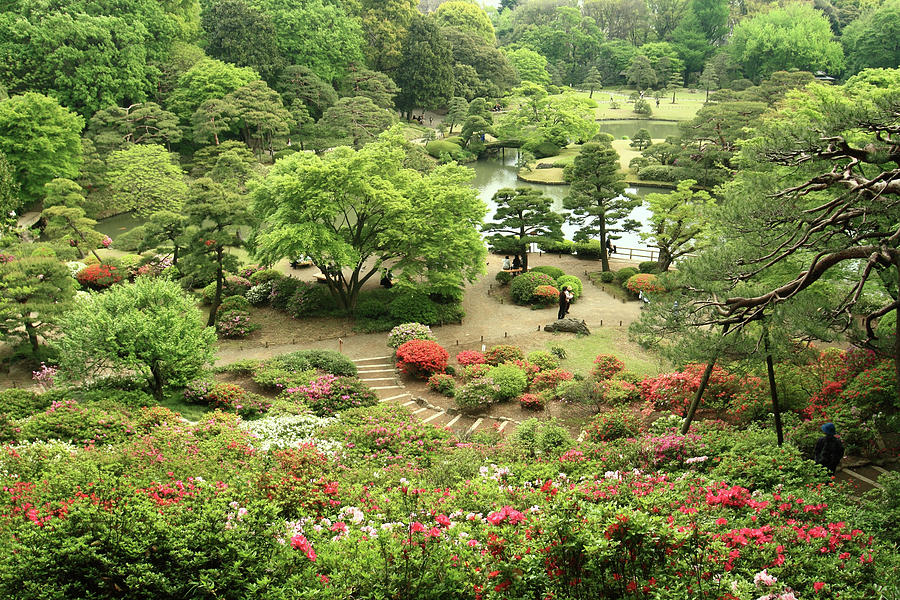 Rikugien Japanese Garden Photograph by Mura