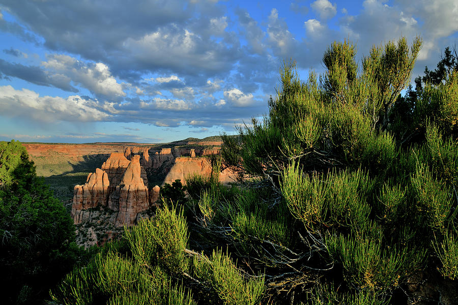 Rim Trail at Sunset in Colorado National Monument Photograph by Ray Mathis