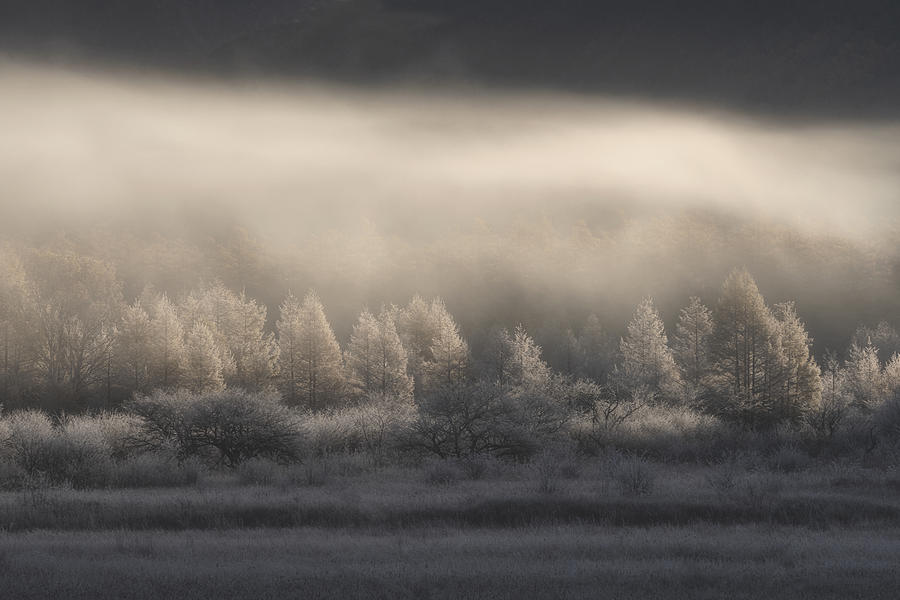 Rime Photograph by Akira Nagase - Fine Art America