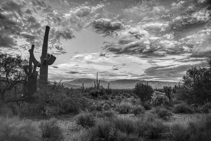 Rincon Mountains and Clouds Black and White, Tucson, AZ Photograph by Chance Kafka