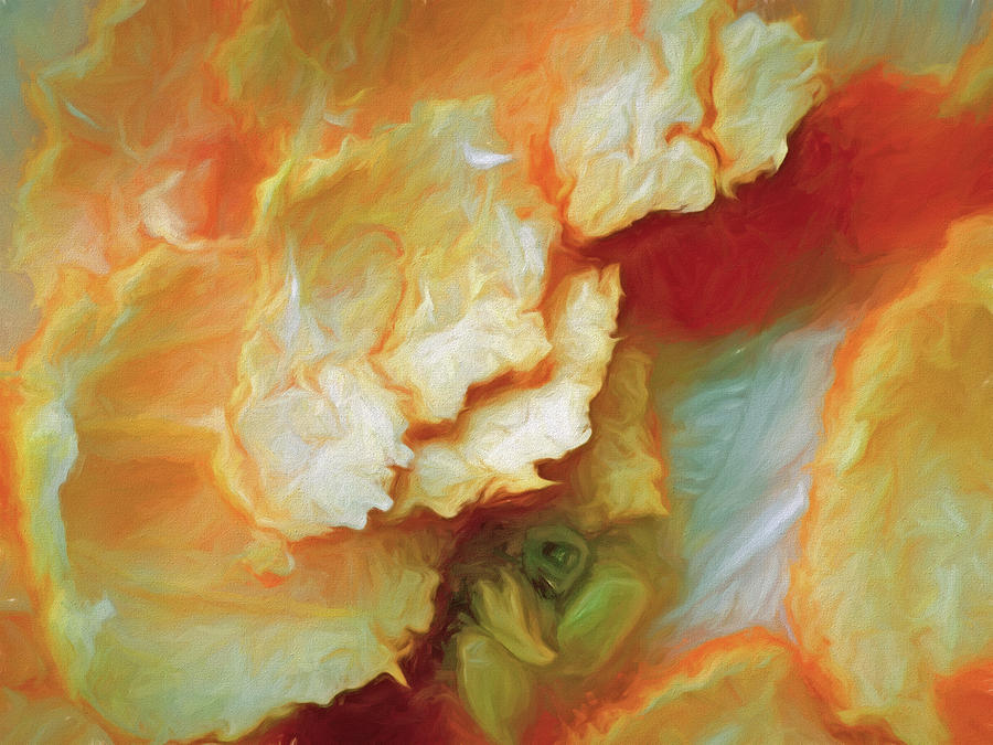 Rinds Like Flowers by Lynda Lehmann Rinds Like Flowers by Lynda Lehmann
