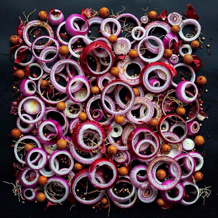 Ring a ding ding by Sarah Phillips Ring a ding ding by Sarah Phillips