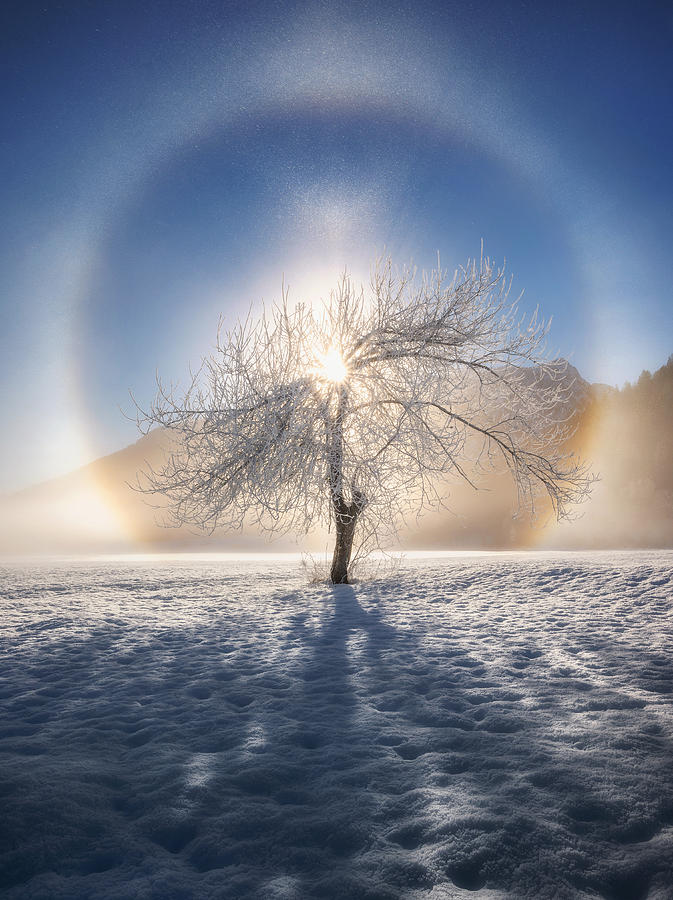 Ring Of Frost Photograph by Ales Krivec