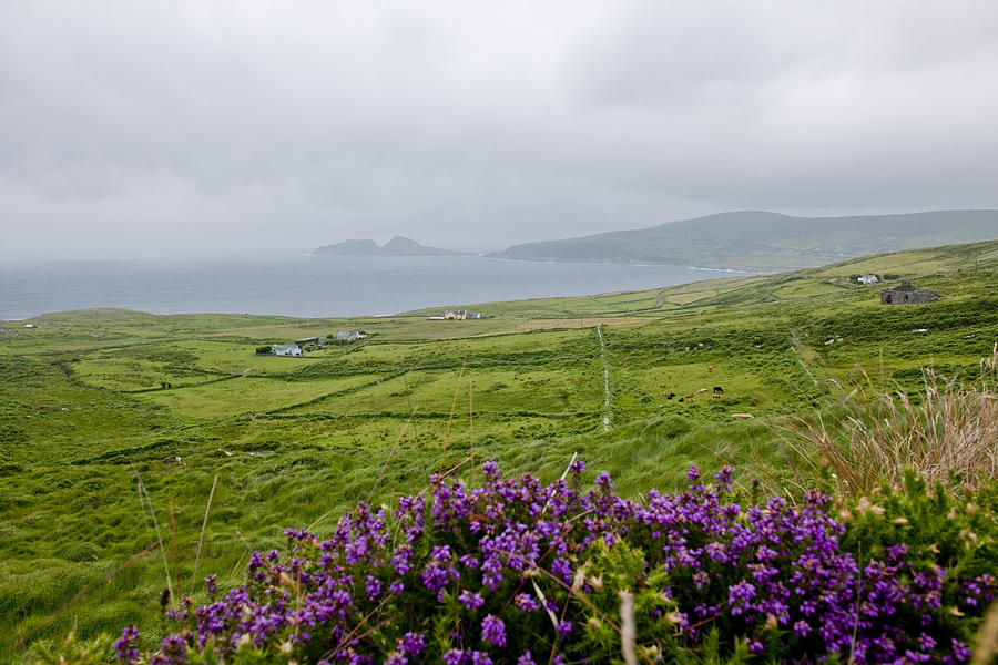 Ring Of Kerry, Landscape Near Photograph by Maremagnum