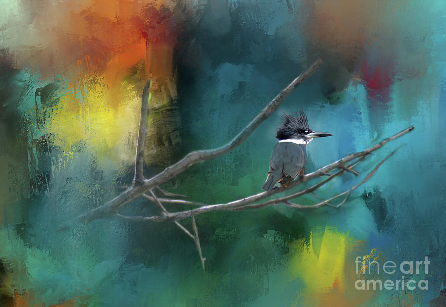 Kingfisher Digital Art - Ringed Kingfisher by Kathy Kelly
