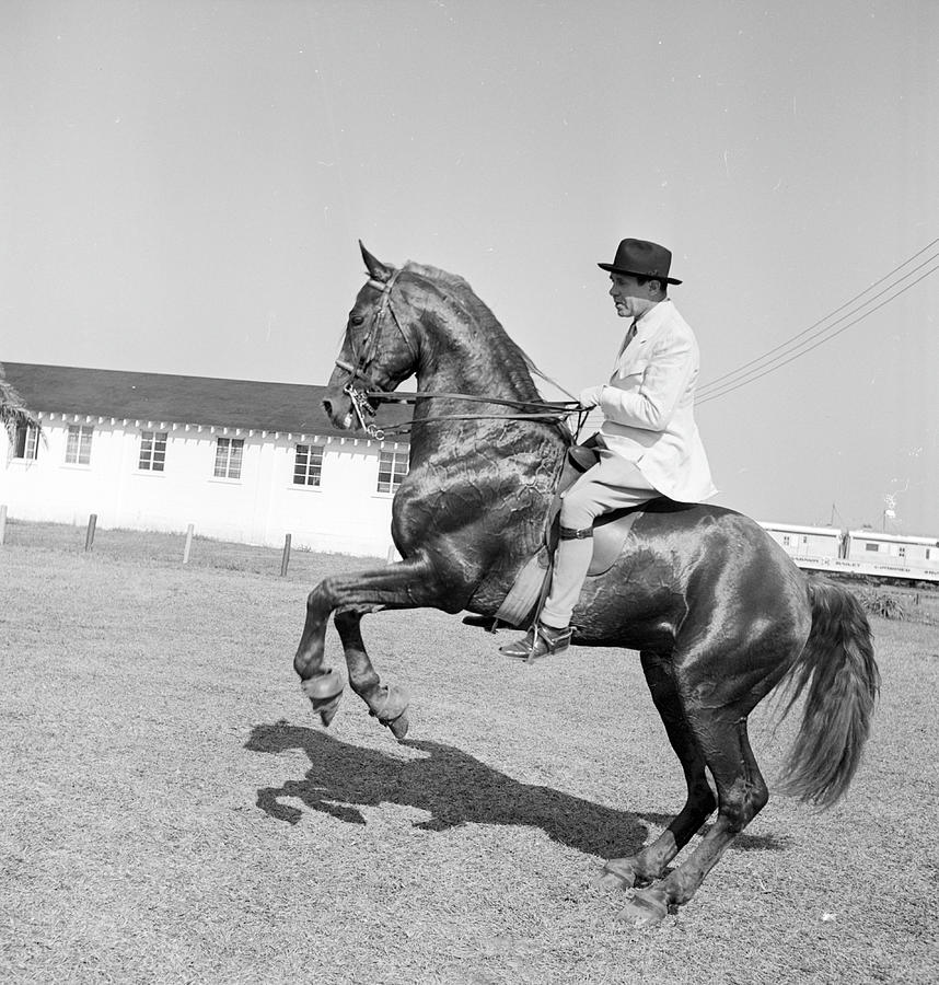 Horse Photograph - Ringling Circus by Nina Leen