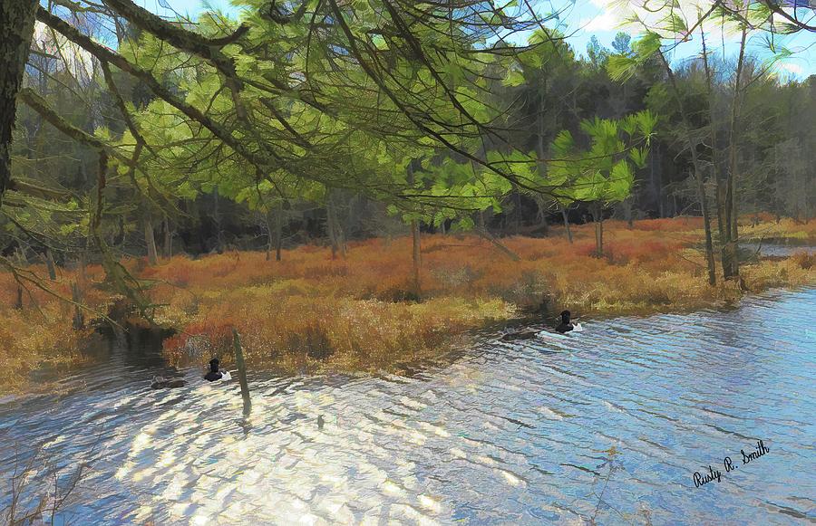 Ringneck ducks in New England marsh. by Rusty R Smith Ringneck ducks in New England marsh. by Rusty R Smith