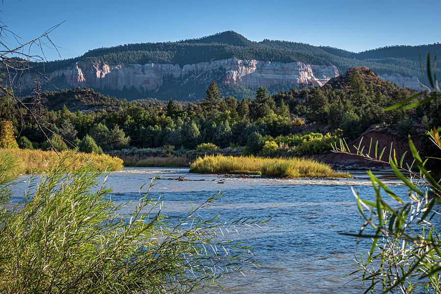 Rio Chama above Abiquiu Photograph by Mary Lee Dereske