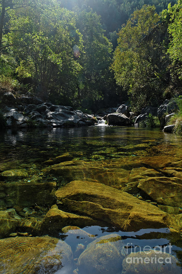 River Photograph - Rio Da Gralheira And Rocks by Angelo DeVal River Photograph - Rio Da Gralheira And Rocks by Angelo DeVal