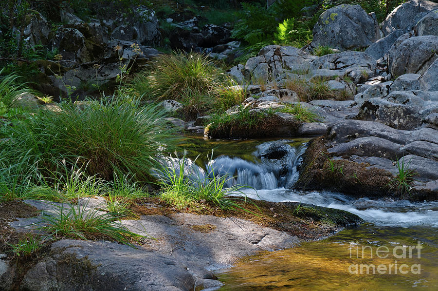 Rio da Gralheira flow in Carvalhais by Angelo DeVal Rio da Gralheira flow in Carvalhais by Angelo DeVal