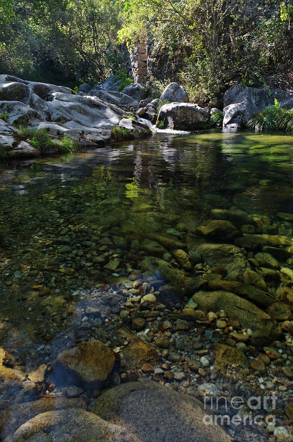Rio da Gralheira waters in Carvalhais by Angelo DeVal Rio da Gralheira waters in Carvalhais by Angelo DeVal