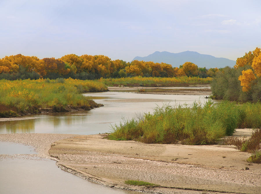 Rio Grande And Cottonwoods In Autumn Photograph by Duckycards
