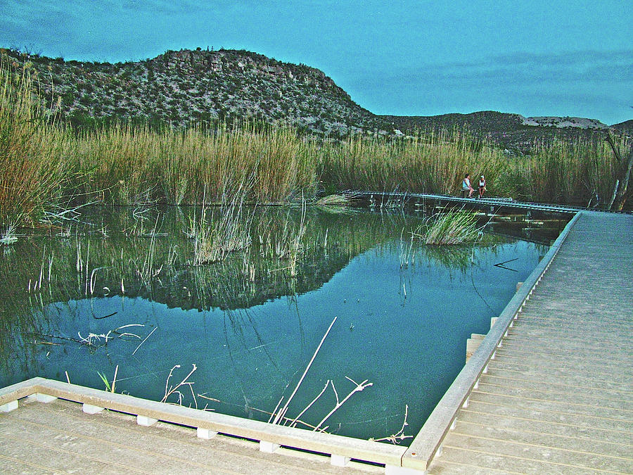 Rio Grande Village Nature Trail in Big Bend National Park, Texas Photograph by Ruth Hager