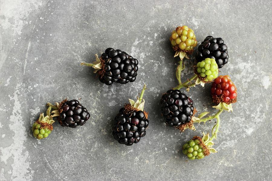 Ripe And Underripe Blackberries view From Above Photograph by Petr Gross