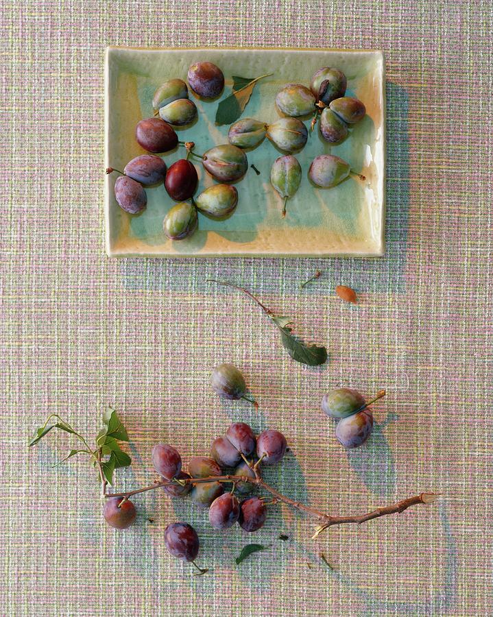 Ripe And Unripe Plums view From Above Photograph by Michael Wissing