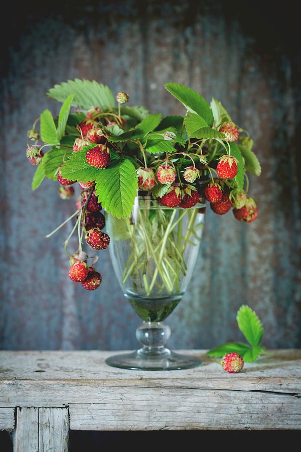 Ripe Strawberries In A Vintage Glass Photograph by Natasha Breen