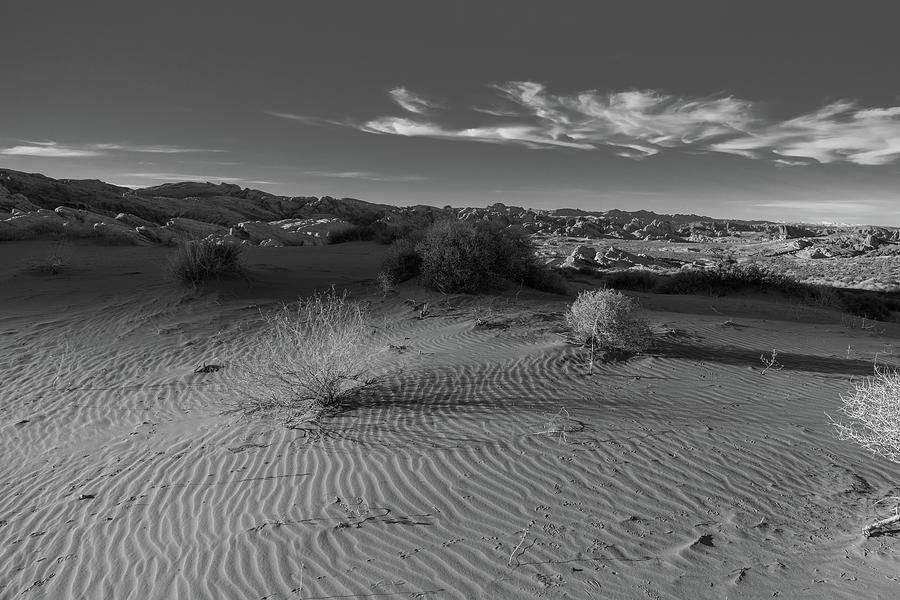 Ripple Of Sand Bw Photograph