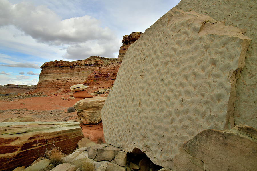 Rippled Boulder along San Rafael Swell in Utah Photograph by Ray Mathis