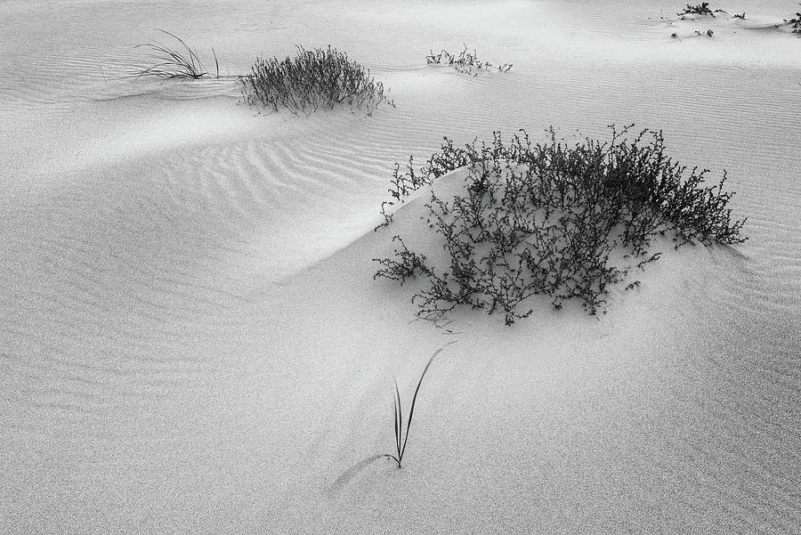 Ripples, Crane Beach Ipswich Ma. by Michael Hubley Ripples, Crane Beach Ipswich Ma. by Michael Hubley