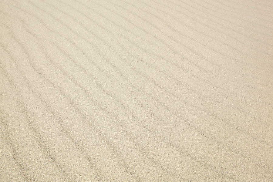 Ripples In Sand Dunes Photograph by Sidsel Clement