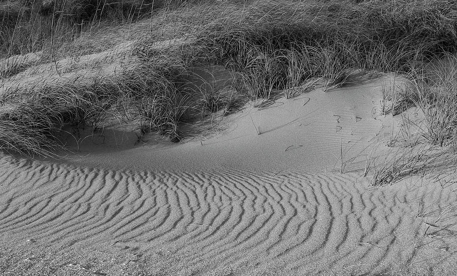 Ripples in the Sand Photograph by Robert Wilder Jr