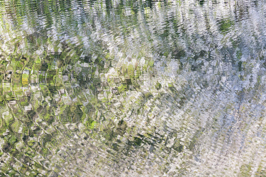 Ripples on the river with blossom reflections Photograph by Anita Nicholson