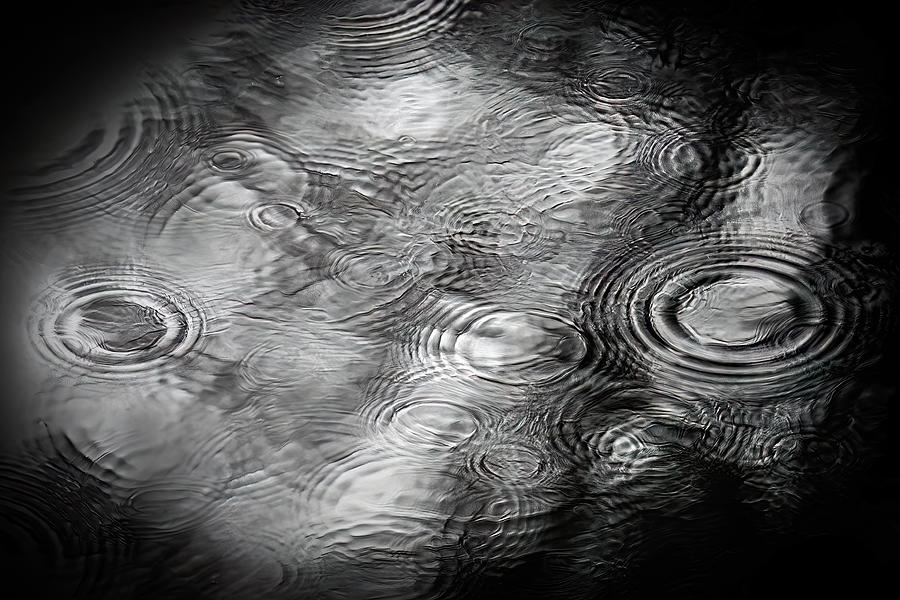 Ripples Photograph - Ripples by Wicher Bos