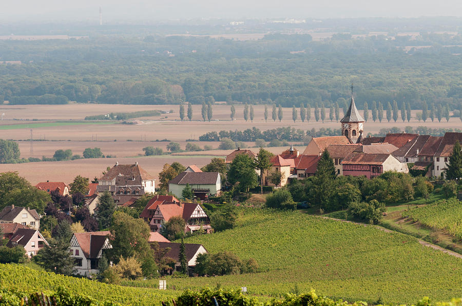 Riquewihr From Distance Photograph by John Elk Iii
