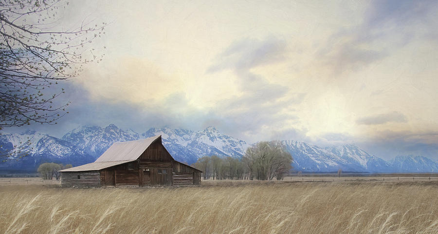 Barn Mixed Media - Rise Above It All by Lori Deiter