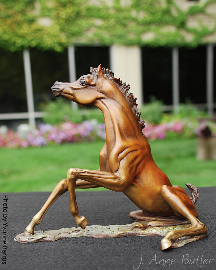 Rise and Shine Bronze Foal Sculpture Sculpture by J Anne Butler
