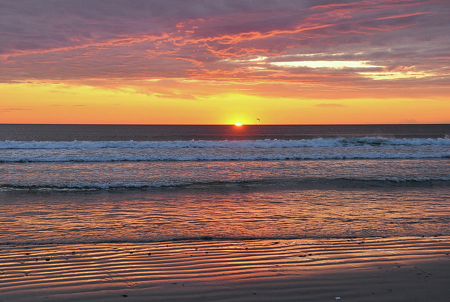 Rise and Shine by Joanne Brown Rise and Shine by Joanne Brown