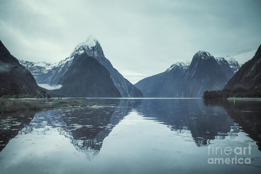Milford Sound Photograph - Rise From The Sea by Evelina Kremsdorf