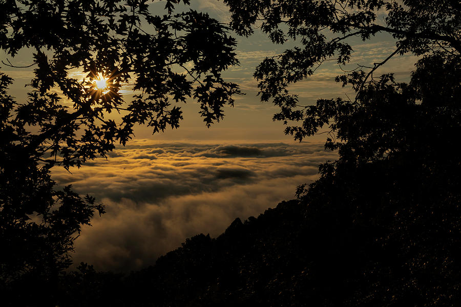 Rising Above the Fog Photograph by Jason Walthall - Fine Art America